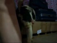 Mix Breeding Gaybeast.Com - Animal Porn(2)