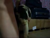 Mix Breeding Gaybeast.Com - Animal Sex Tube