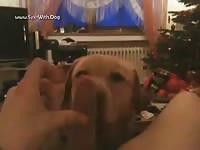 Moms Dog Licking Me Vid Shortlife 1 1