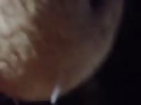 Monkey See Gaybeast Rip - Beastiality Porn Movie