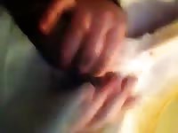 More Sheath Docking Gaybeast Rip - Animal Sex Porn