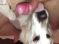 More Training Gaybeast - Animal Sex Movie