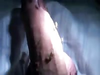 Mosquitos Attacking Cock Gaybeast.Com - Bestiality Sex
