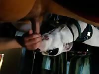My Baby Helping Me Come Gaybeast Rip - Animal Sex Video