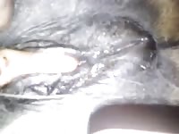 My Beautiful Lady Again Gaybeast - Bestiality Porn Movie