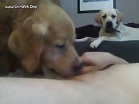 My Boys Enjoy Me Doolieaj 120825 121944