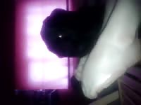My Dog Licks My Feet Gay Beast Com - Bestiality Sex Movie