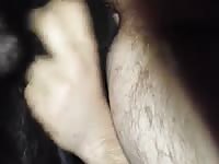 My Dog Lpunds My Ass With His Knot Gaybeast Rip - Bestiality Sex Movie