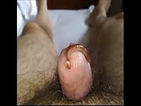 My Fourth Fifth Worm Part 8 Gaybeast - Bestiality Sex Tube