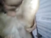 My Friend And His Hot Girl Gaybeast.Com - Beastiality Sex