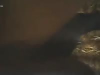 My Friend Fisting My Mare Gaybeast.Com - Bestiality Porn Tube