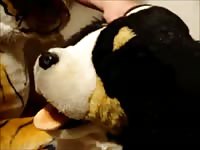 My Friend Makes A New Friend Gaybeast - Animal Porn Video