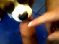 My Germ Gay Beast Com - Zoo Xxx Sex