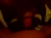 My Girl 3 Gay Beast Com - Beastiality Sex Porn Tube