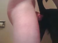 My Girl 4 Gaybeast.Com - Animal Sex Tube