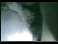 My Goat Gaybeast.Com - Animal Porn Movie