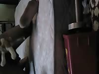 My Lil Doggy Toy Fuck Me Gay Beast Com - Bestiality Porn Video