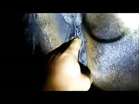 My Mare Gay Beast Com - Beastiality XXX Porn Video