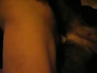 My New Star Gay Beast Com - Zoo Xxx Sex
