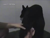 My Wolfdog Nanakiwolfmon German Shepherd Wd Being Bad