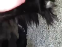 Newfie Condom Gay Beast Com - Animal Sex Movie