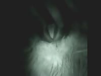 Night Cam Sheep Fuck 1 Gaybeast Rip - Animal Porn Tube