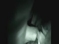 Night Cam Sheep Fuck 2 Gay Beast Com - Beastiality Porn Video