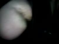 Night Struggle Gay Beast Com - Beastiality XXX Porn Movie