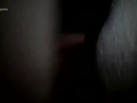 Night With White Mare Gaybeast Rip - Animal Sex Tube