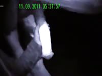 Nightfun Gaybeast - Animal Sex
