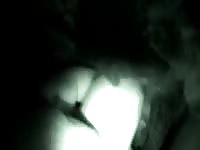 Nighttime Ewe Missionary Style Gaybeast Rip - Animal Porn