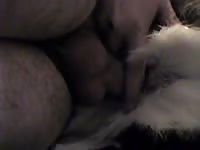 Oh Deer 2 Gaybeast - Beastiality Porn