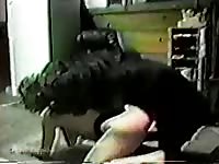 Old Dog Slut With Huband