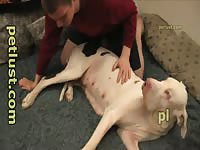 Oral Greta Petlust P245