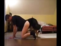Over Fucked Gaybeast.Com - Beastiality Sex