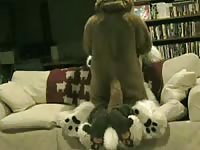 Padfox And Pup Gaybeast Rip - Beastiality Porn Tube