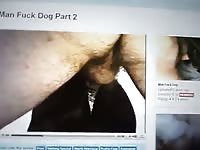 Paja Perro Viendo Porno Gay Beast Com - Beastiality Porn Movie