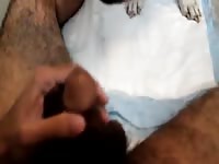 Part 1 College Stud Gets Licked For The First Time By Friends Dog Gay Beast Com - Beastiality Porn