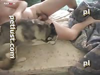Passionate Husky Love Full Movie