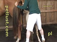 Pc440 Horse 3 Way Man Fucks Mare Petlust