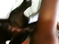 Perra5 Gaybeast.Com - Beastiality XXX Sex Movie