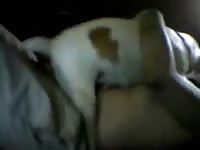 Perrita Linda Gaybeast.Com - Beastiality Sex Tube