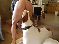 Perro Gay Coje A Hombre Gaybeast Rip - Animal Sex Movie