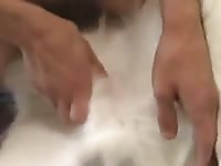 Perro Pija Con Pija Gaybeast Rip - Bestiality Sex Tube