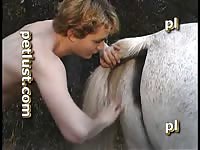 Petlust M09 1 P405 Misty Pony Zooporn Horse Xxx Beastiality