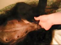 Petlust Sex With Ronja Part1 Forplay2