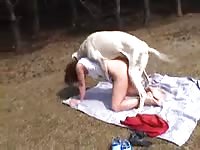Pic Nic With Dog