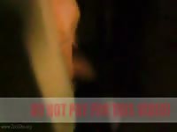 Pink Pussy At Night By Studjumper S Horsesexproductions
