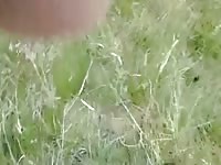 Piss And Cum In Dogs Mouth Gaybeast - Beastiality Porn Video