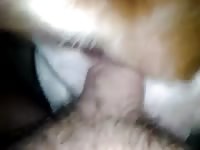 Pit Anal Gaybeast.Com - Zoo Xxx Sex